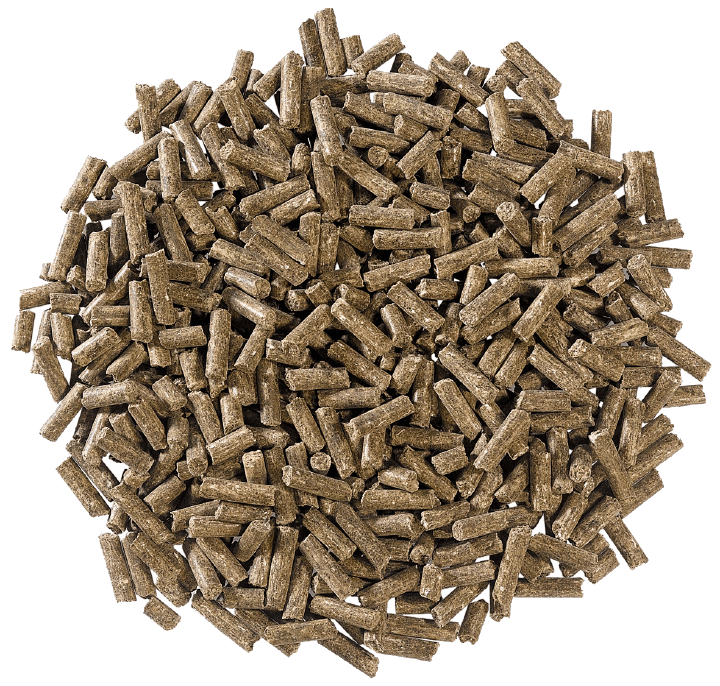 DERBY Country DERBY Country